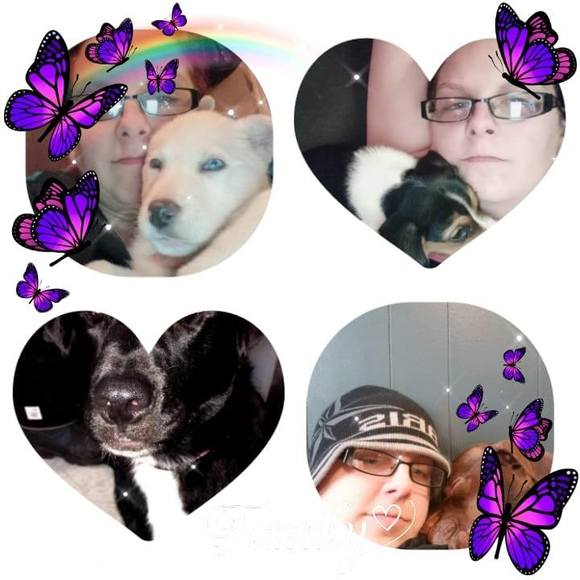 lynnsheppard547